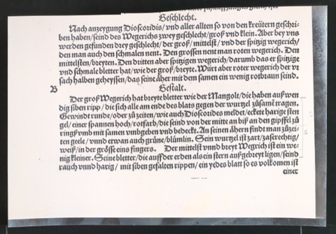 Notizen und montierte Reproduktionen historischer Gebrauchsgrafik als Vorlagen für Illustrationen von Gelegenheitsdrucksachen aus fünf Jahrhunderten