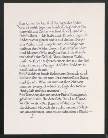 Konvolut Fotoabzüge von Buchseiten mit Kalligraphien von Jan Tschichold