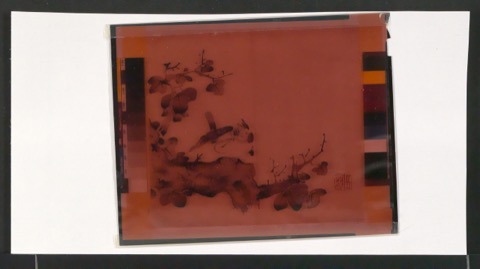 Fotoabzüge und Negative für Illustrationen von Die Bildersammlung der Zehnbambushalle