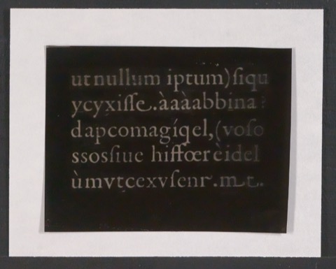 Negativfilme für Reproduktionen von Entwürfen der Sabon, der Garamond und historischer Schrifttypen