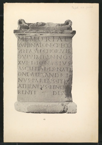 Druckfahnen der Bildtafeln für Meisterbuch der Schrift