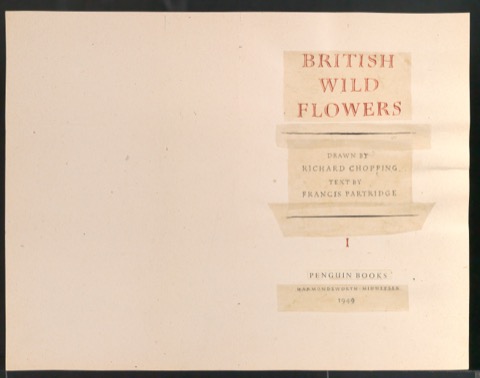 Entwurf des Titelblattes zu British Wild Flowers
