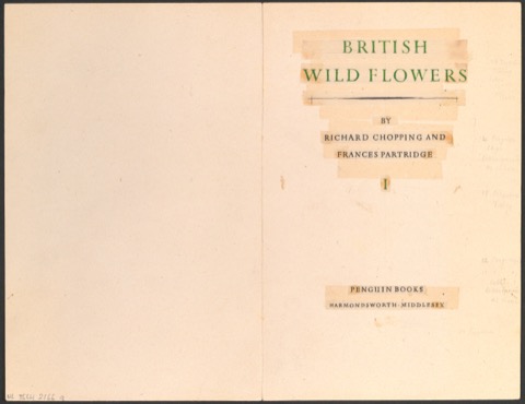 Klebeentwurf des Titelblattes zu British Wild Flowers