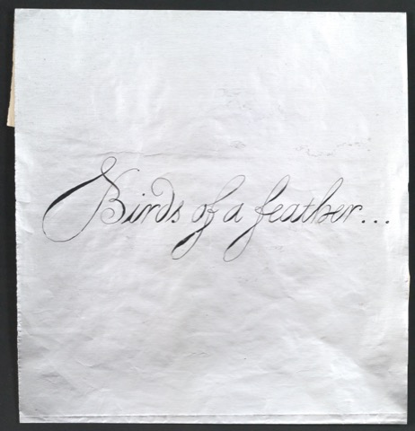 Schriftentwurf für ein Werbeplakat von Birds Of A Feather: Penguins, Pelicans, and Puffins