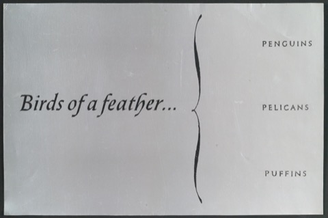 Schriftentwurf für ein Werbeplakat von Birds Of A Feather: Penguins, Pelicans, and Puffins