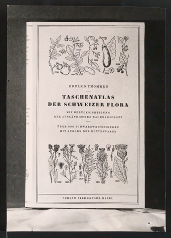 Fotografie des Buches Taschenatlas der Schweizer Flora