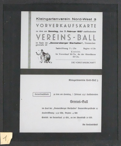Lichtbilder auf Glasplatten