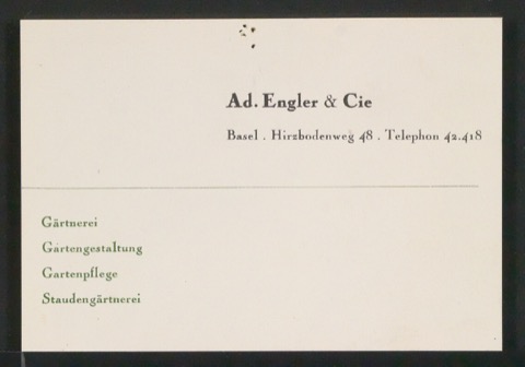 Briefbogen und Skizzen von Visitenkarten für Adolf Engler, Gartenarchitekt