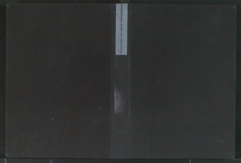 Einbanddecke für Die neue Typographie