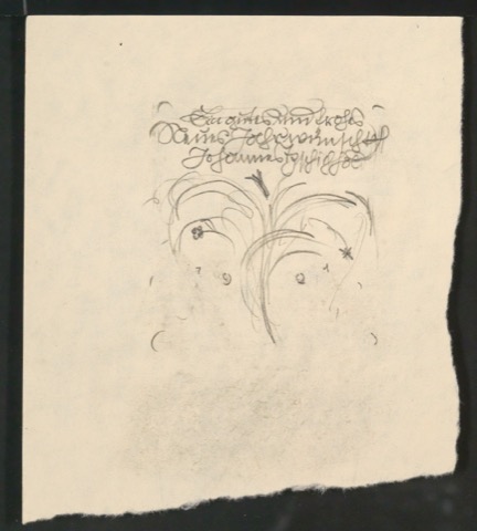 Ein gutes und frohes Neues Jahr wünscht Johannes Tzschichhold 1921