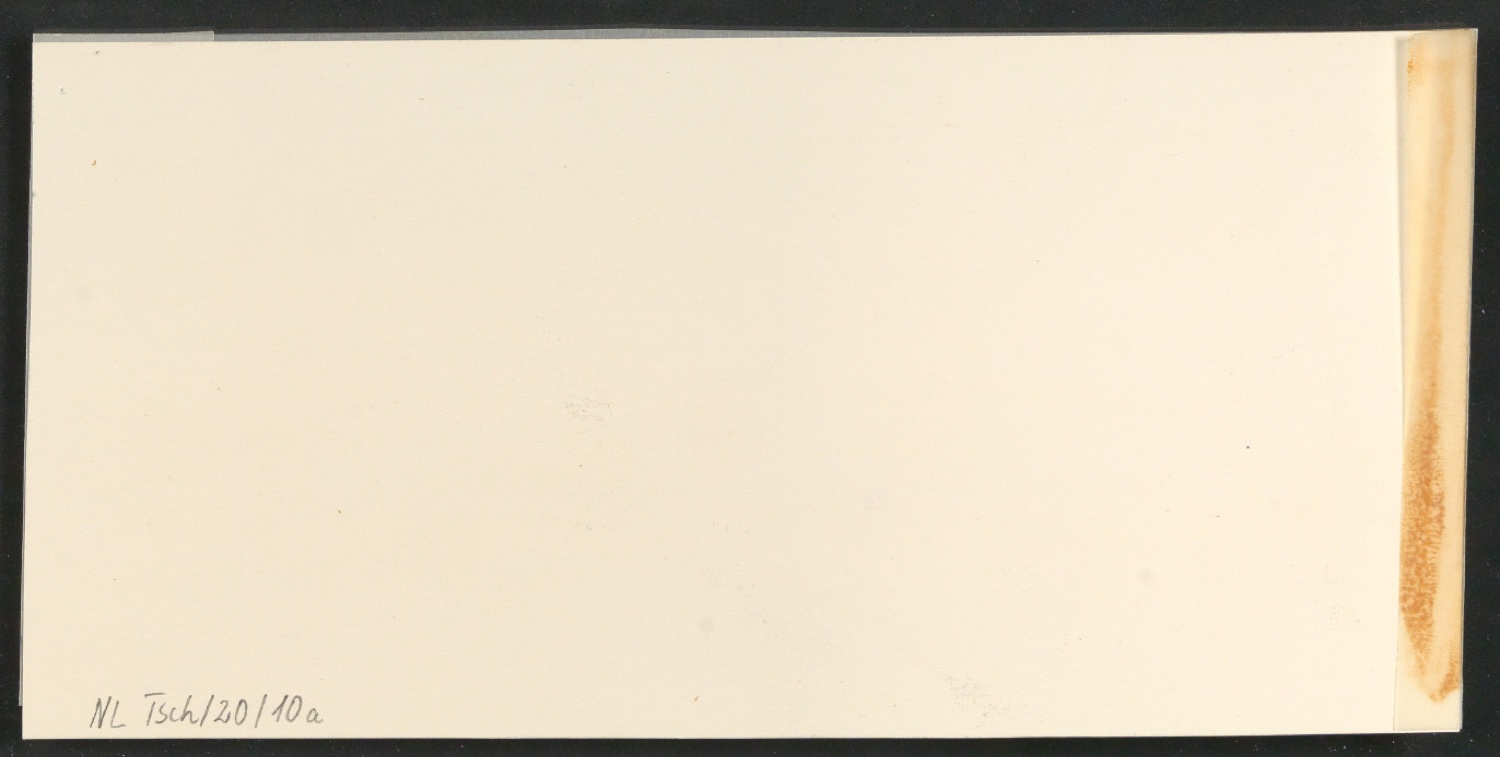 Klebeentwürfe für Illustrationen von Das Alphabet des Damianus Moyllus — Blatt 2