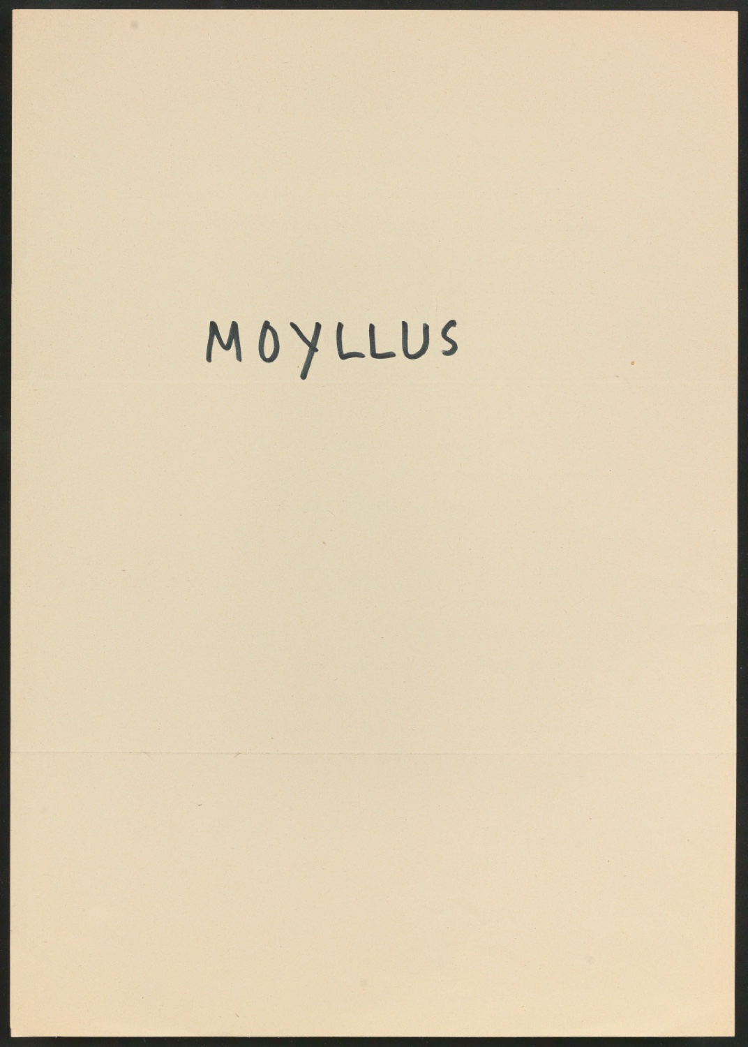 Mappe mit Arbeitsmaterial zu Das Alphabet des Damianus Moyllus — Blatt 81
