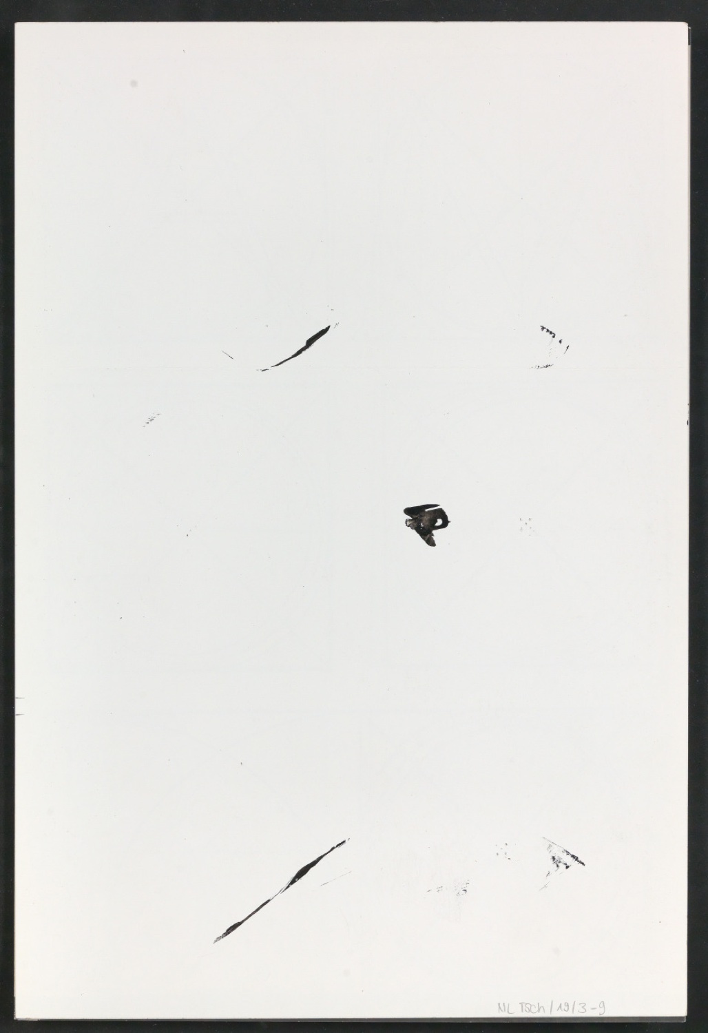 Mappe Erste Stufen für die Gestaltung von Das Alphabet des Damianus Moyllus — Blatt 18