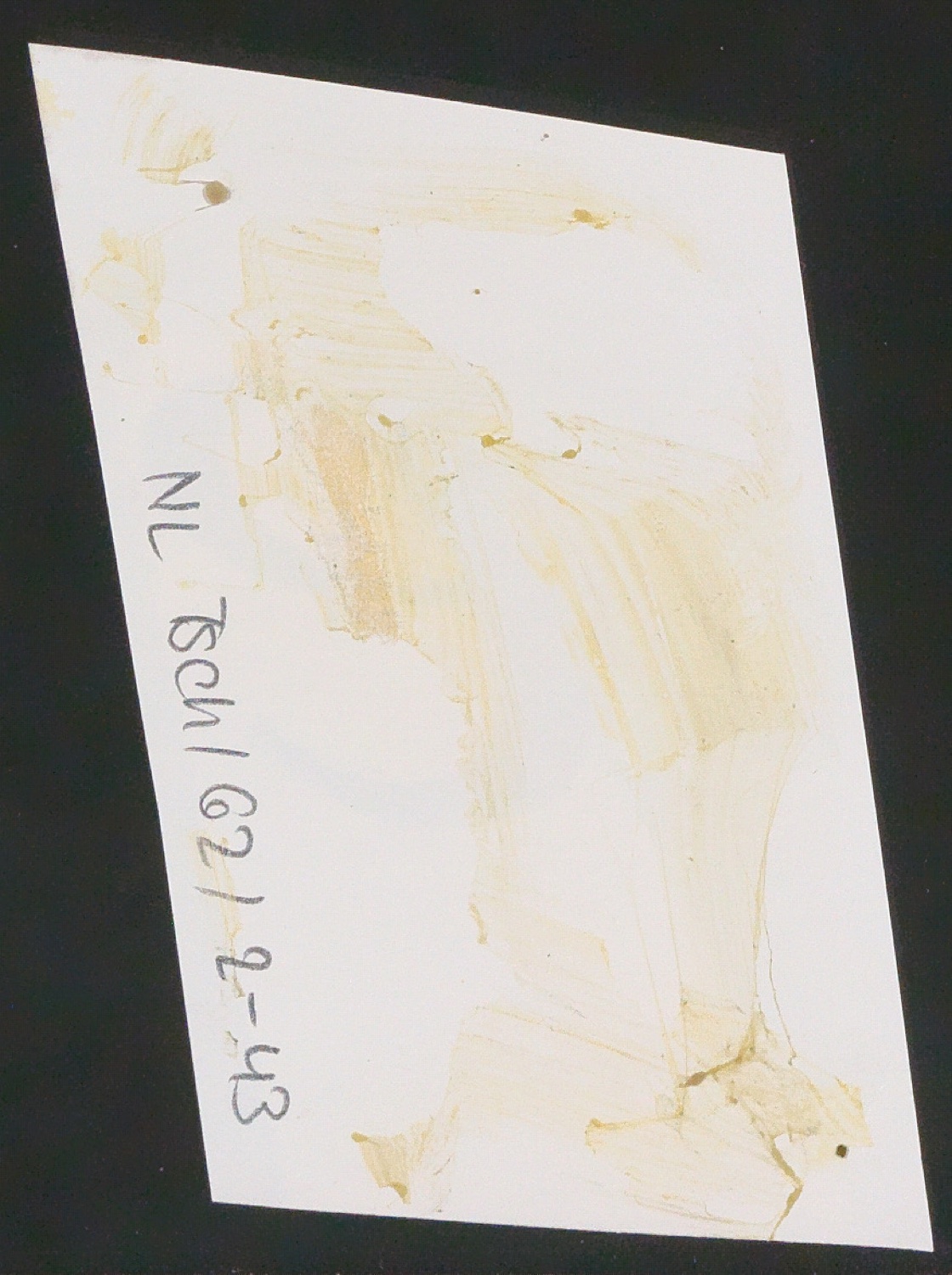 Fotokopien von Sabon-Entwürfen und Klebeentwürfe mit montierten Ausschnitten aus Fotokopien von Sabon-Entwürfen — Blatt 84