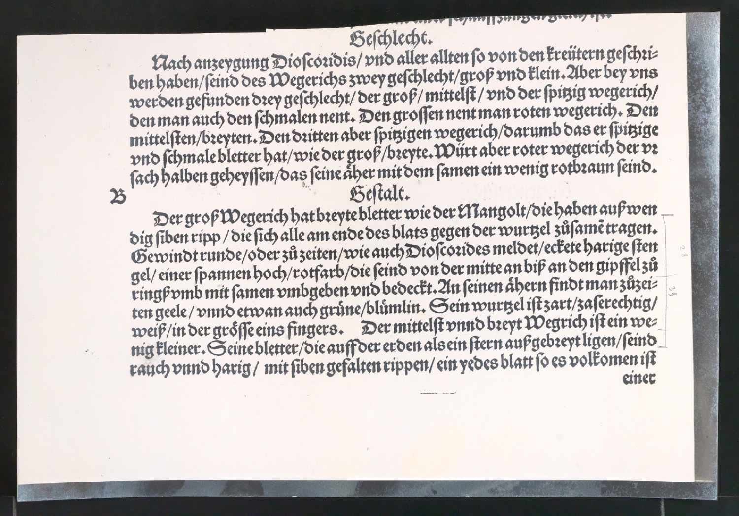 Notizen und montierte Reproduktionen historischer Gebrauchsgrafik als Vorlagen für Illustrationen von Gelegenheitsdrucksachen aus fünf Jahrhunderten — Blatt 1