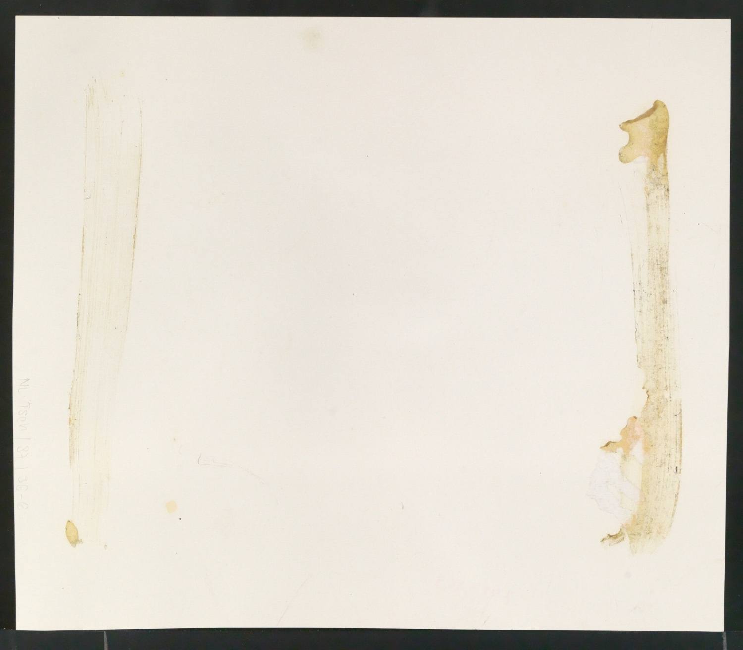 Fotokopien von Sabon-Entwürfen und montierte und korrigierte Ausschnitte aus Reproduktionen der Sabon — Blatt 12