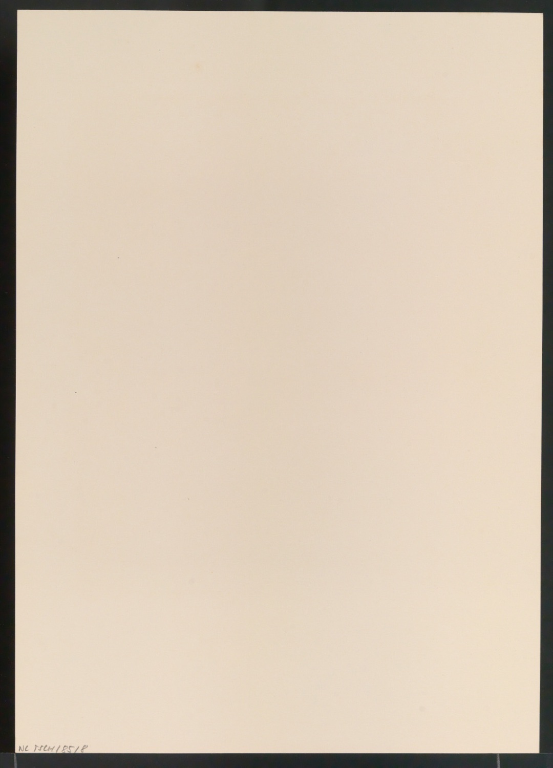 Gesammelte Beispiele für Illustrationen von Gelegenheitsdrucksachen aus fünf Jahrhunderten — Blatt 12