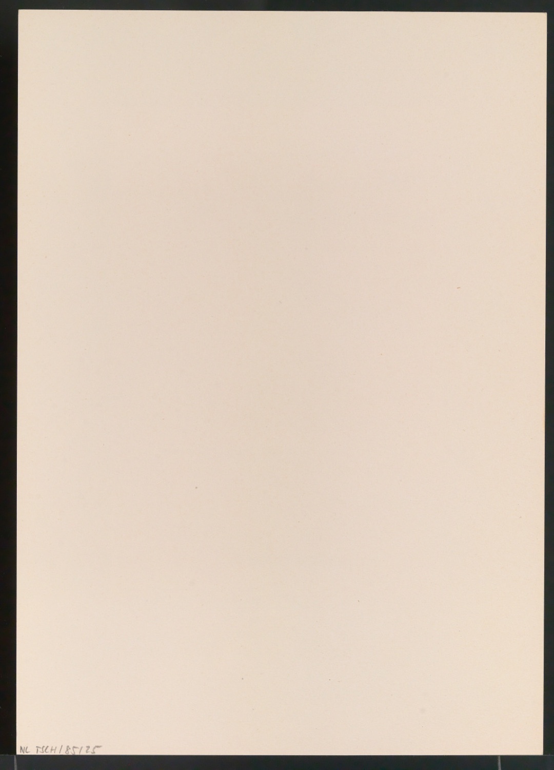 Gesammelte Beispiele für Illustrationen von Gelegenheitsdrucksachen aus fünf Jahrhunderten — Blatt 46