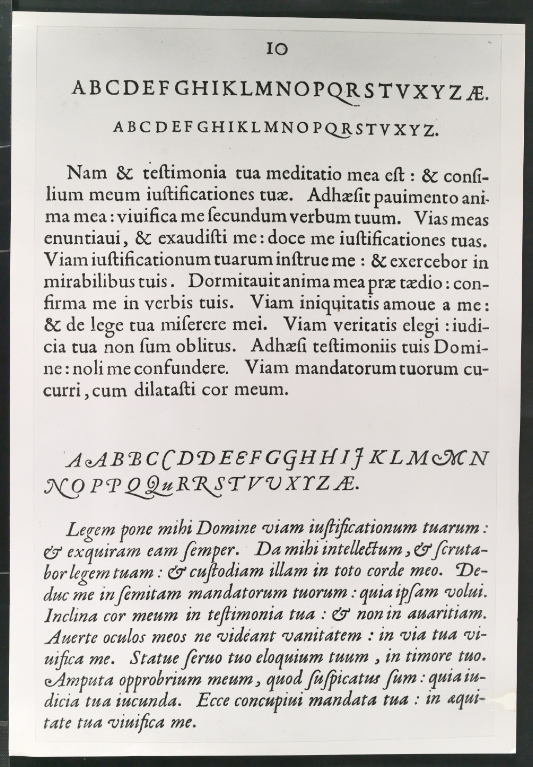 Reproduktionsfotografien einer Italique ancienne und weiterer historischer Kursivschriften — Blatt 1