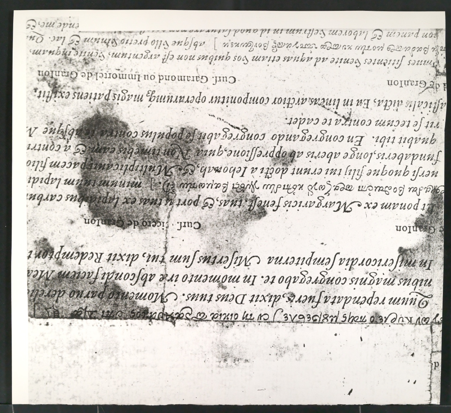 Reproduktionsfotografien einer Italique ancienne und weiterer historischer Kursivschriften — Blatt 6