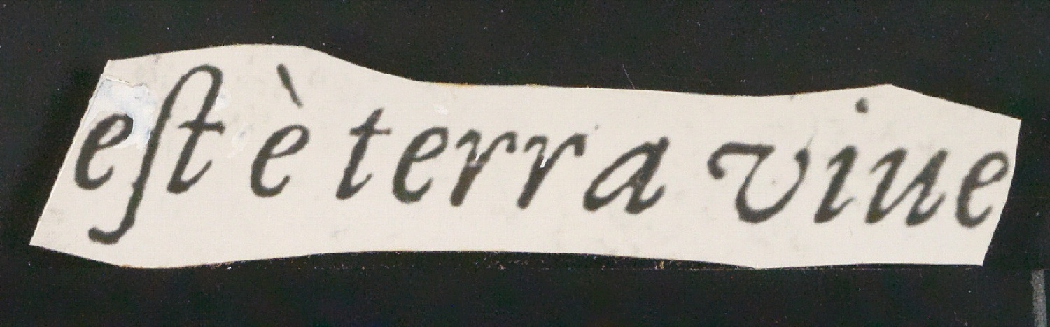 Mappe Zur Garamond — Blatt 43