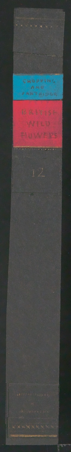 Entwürfe für die Gestaltung von Buchrücken für British Wild Flowers — Blatt 3