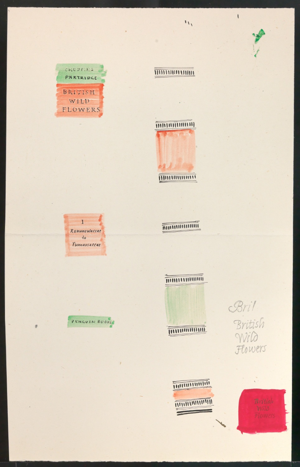 Entwürfe für die Gestaltung von Buchrücken für British Wild Flowers — Blatt 9