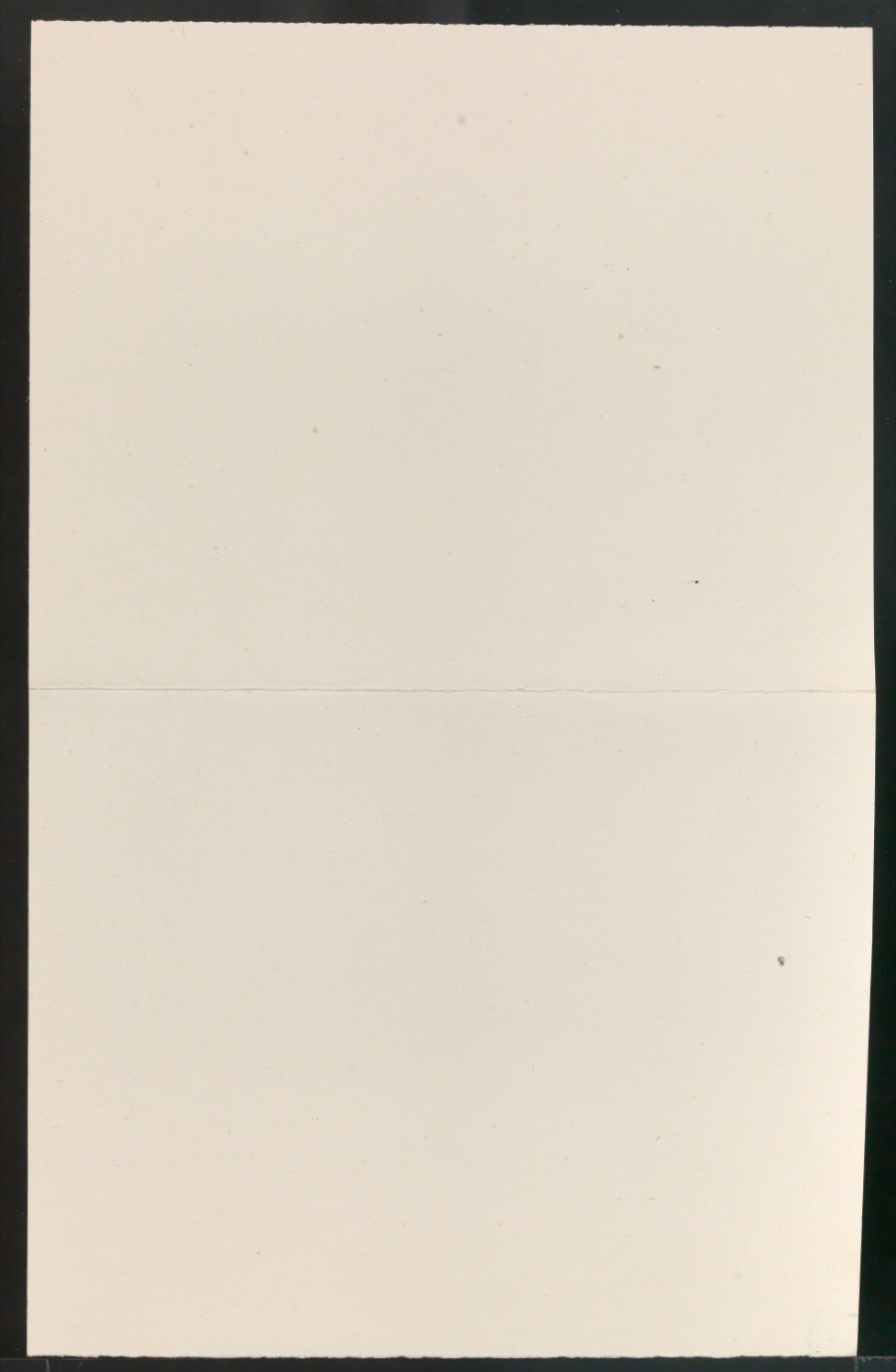 Entwürfe für die Gestaltung von Buchrücken für British Wild Flowers — Blatt 10