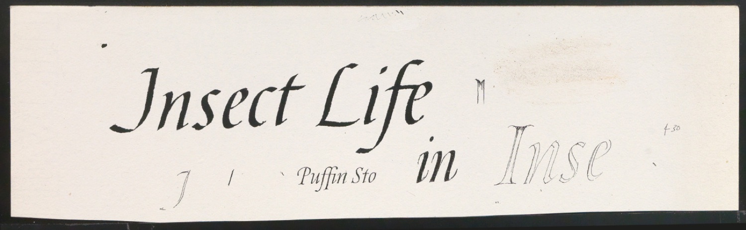 Schriftentwürfe für das Titelblatt von Insect Life — Blatt 7