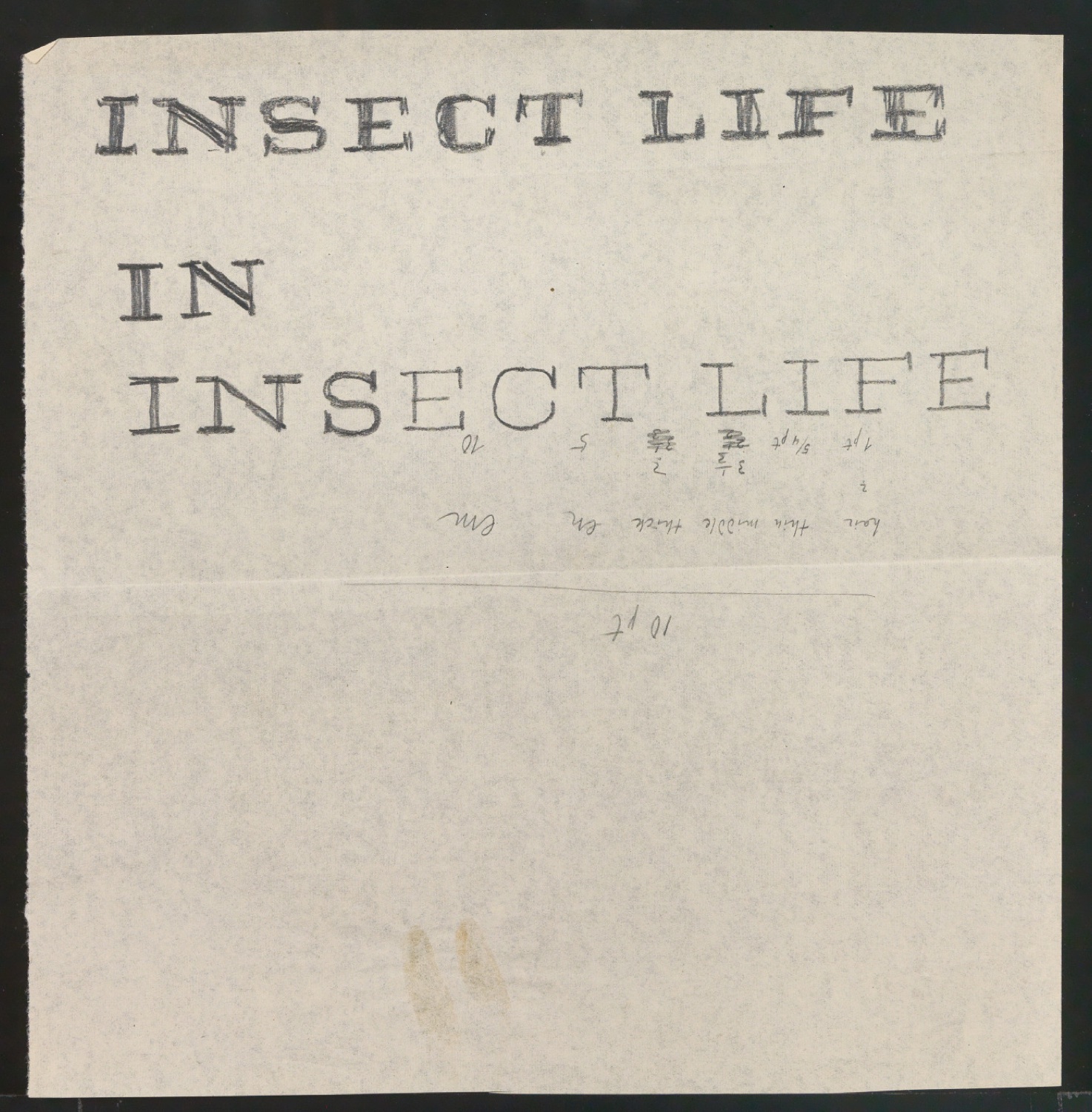 Schriftentwürfe für das Titelblatt von Insect Life — Blatt 13