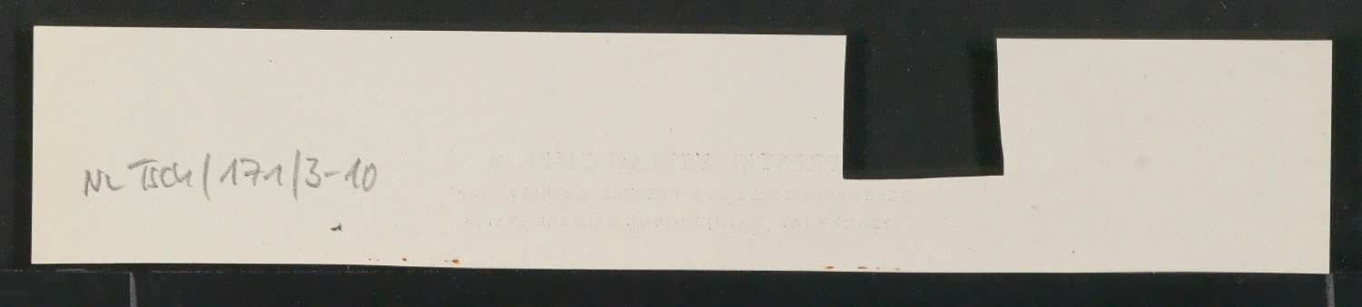 Konvolut Arbeitsmaterialien Ornamente — Blatt 25