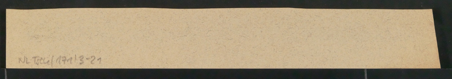 Konvolut Arbeitsmaterialien Ornamente — Blatt 52