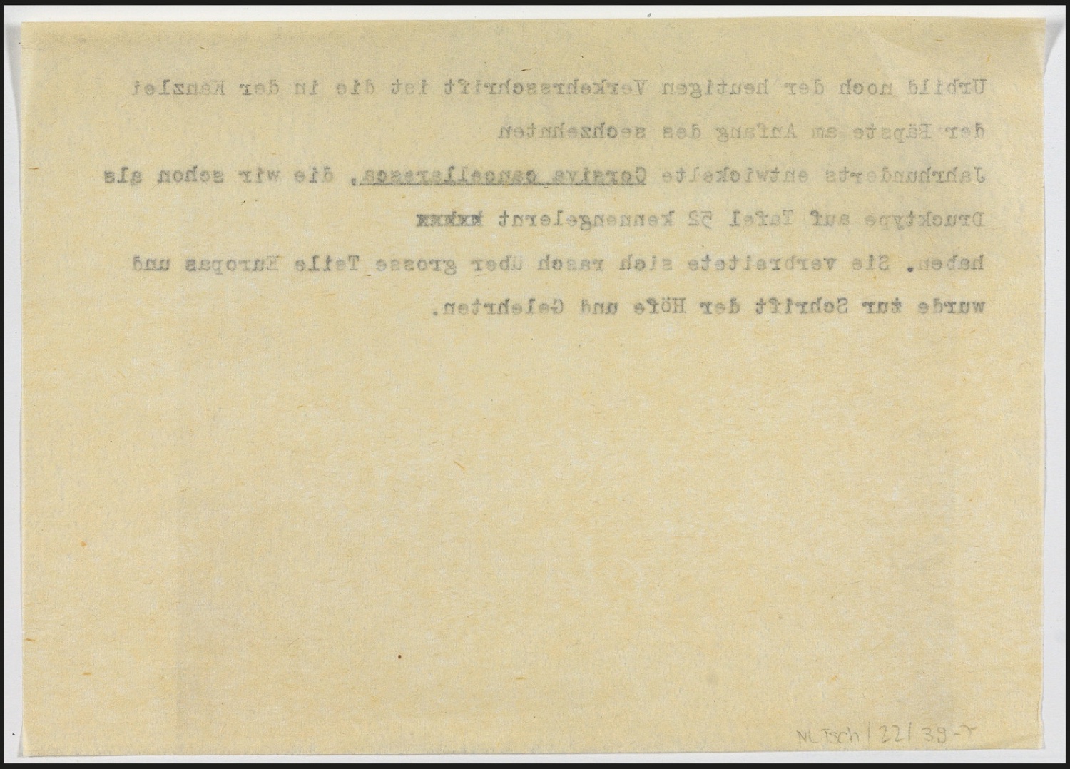 Notizen für Text und Entwurf für Schutzumschlag von Geschichte der Schrift in Bildern, 1. Auflage — Blatt 15