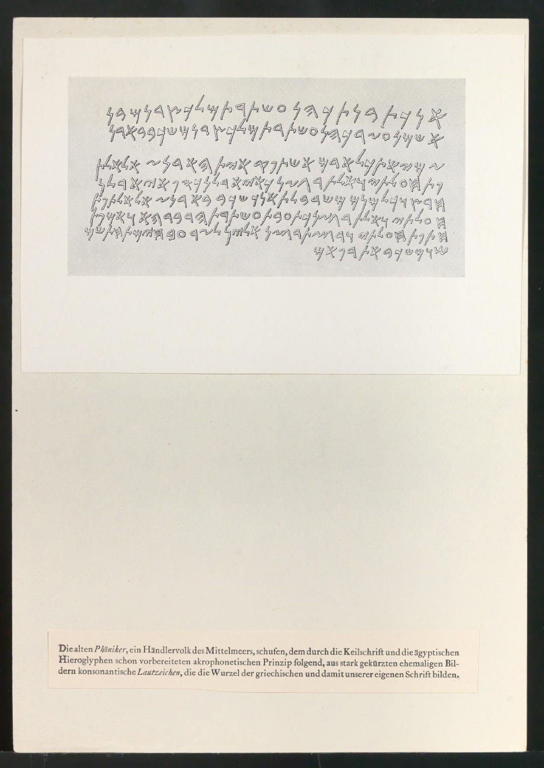 Druckbögen für Layout von Geschichte der Schrift in Bildern, 1. Auflage — Blatt 43