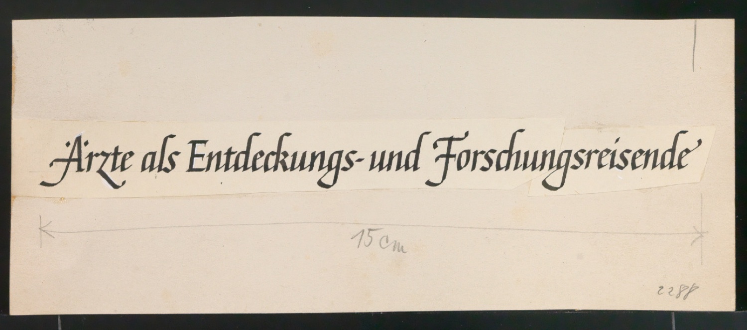 Entwürfe und Korrekturfahnen für CIBA Drucksachen und CIBA Rundschau — Blatt 65