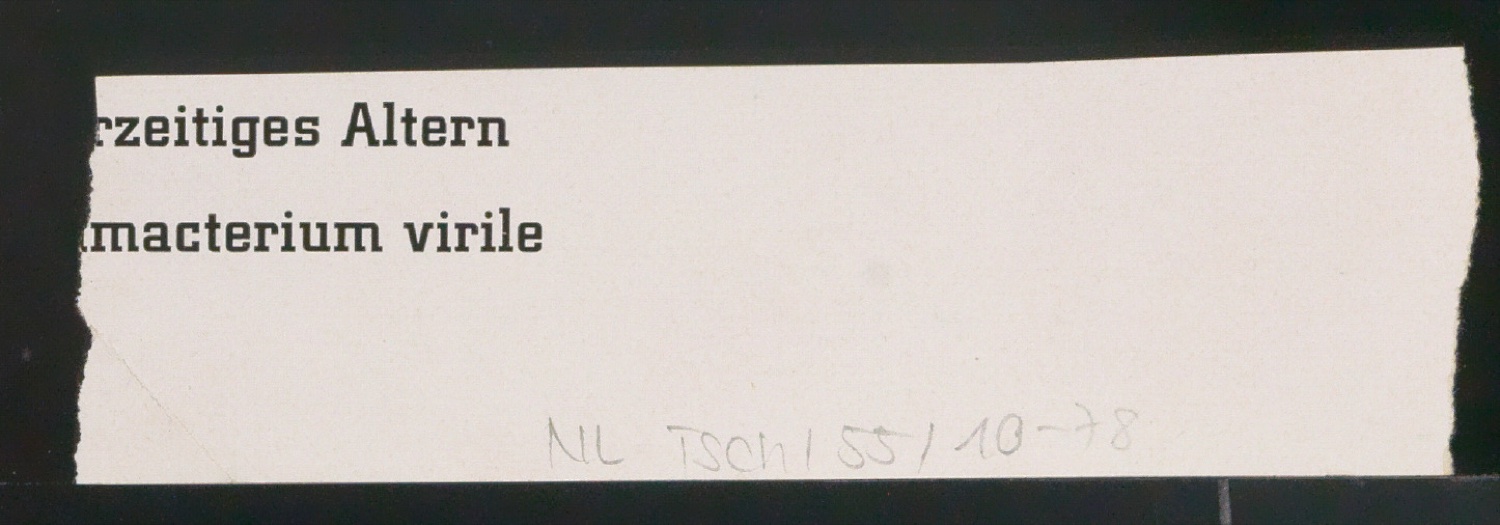 Entwürfe und Korrekturfahnen für CIBA Drucksachen und CIBA Rundschau — Blatt 94
