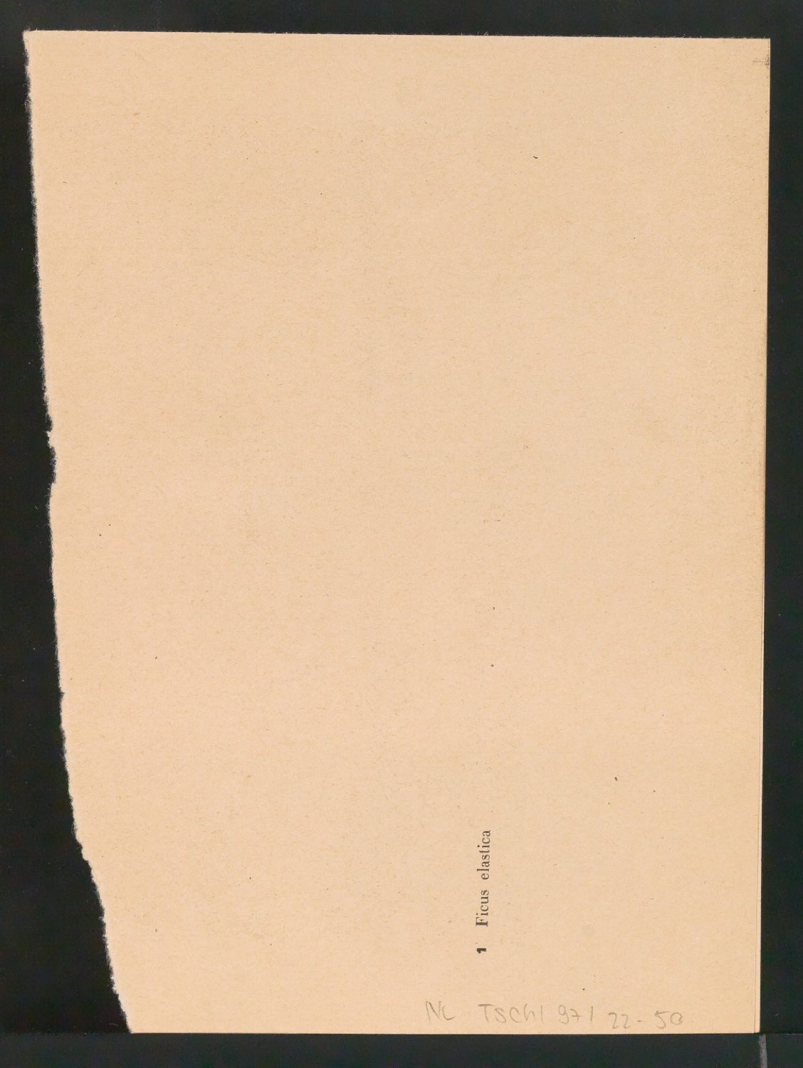 Entwurfszeichnungen verschiedener Schrifttypen — Blatt 64
