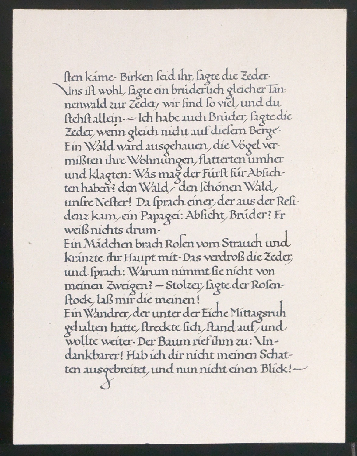 Konvolut Fotoabzüge von Buchseiten mit Kalligraphien von Jan Tschichold — Blatt 1