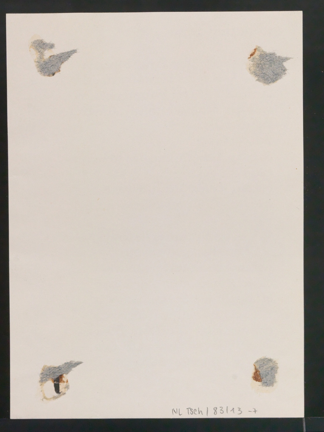Konvolut Fotoabzüge von Buchseiten mit Kalligraphien von Jan Tschichold — Blatt 8