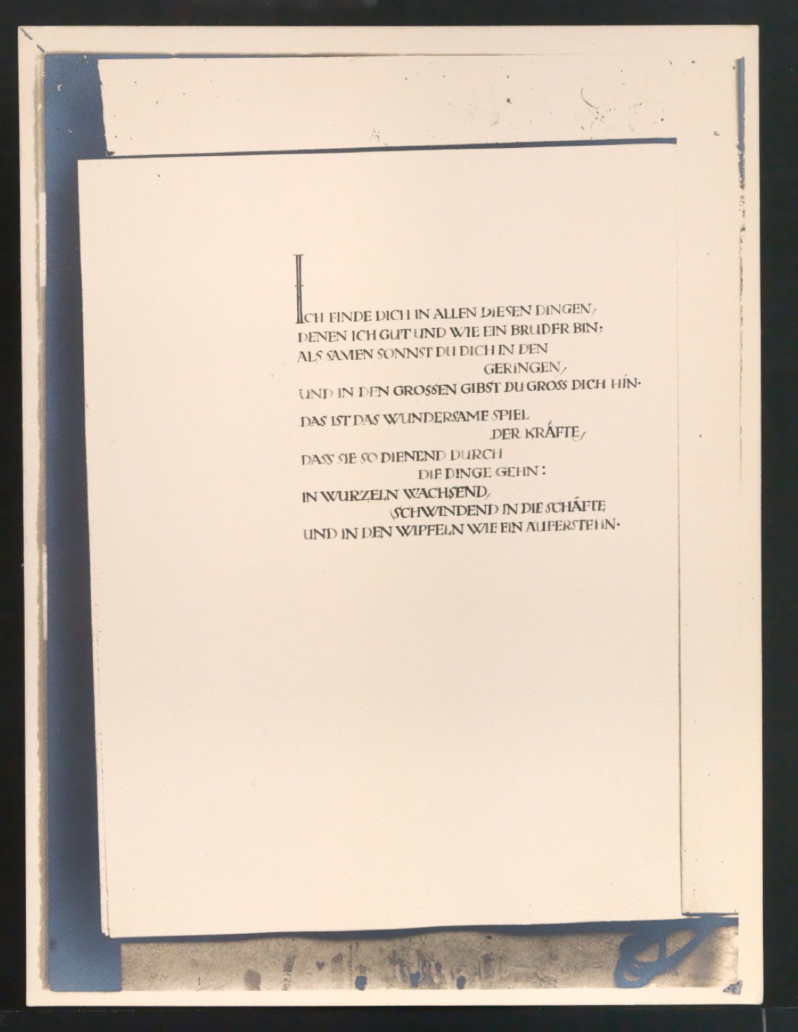 Konvolut Fotoabzüge von Buchseiten mit Kalligraphien von Jan Tschichold — Blatt 11