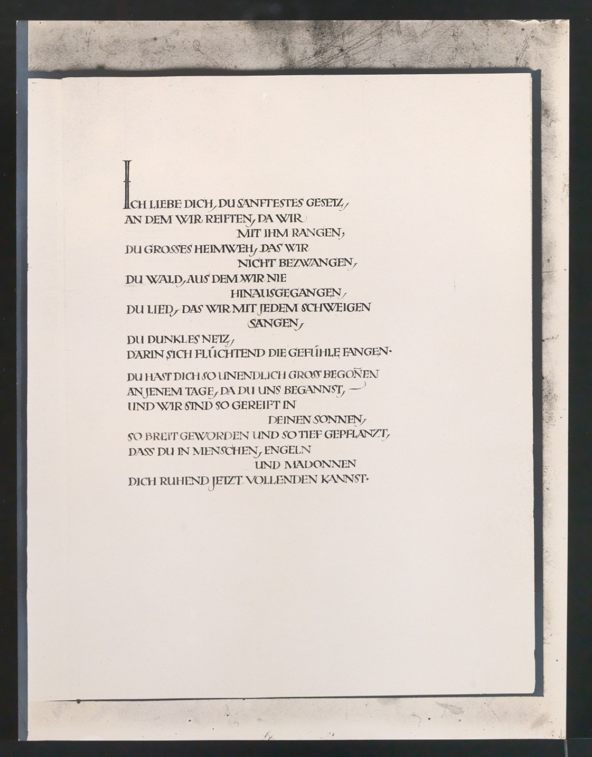 Konvolut Fotoabzüge von Buchseiten mit Kalligraphien von Jan Tschichold — Blatt 13