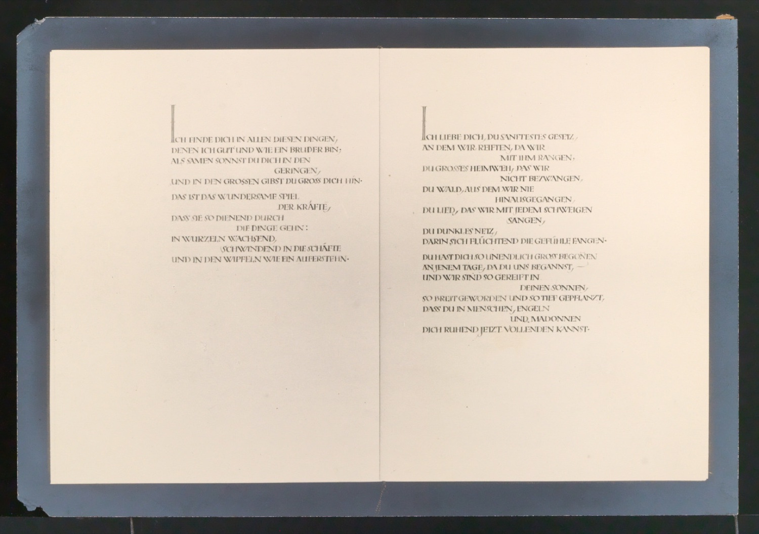 Konvolut Fotoabzüge von Buchseiten mit Kalligraphien von Jan Tschichold — Blatt 17