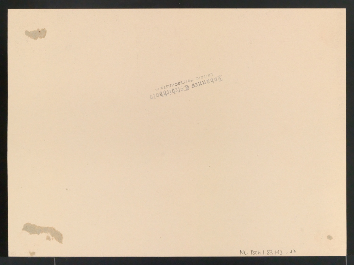 Konvolut Fotoabzüge von Buchseiten mit Kalligraphien von Jan Tschichold — Blatt 30