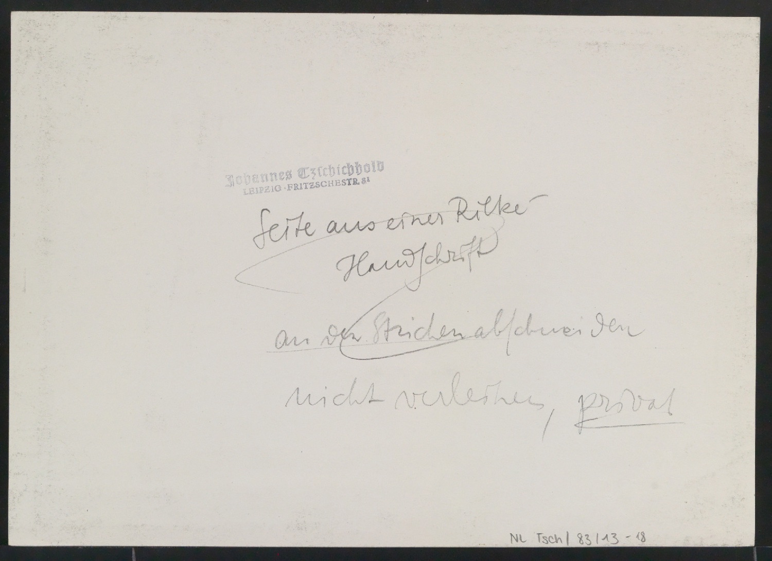 Konvolut Fotoabzüge von Buchseiten mit Kalligraphien von Jan Tschichold — Blatt 32
