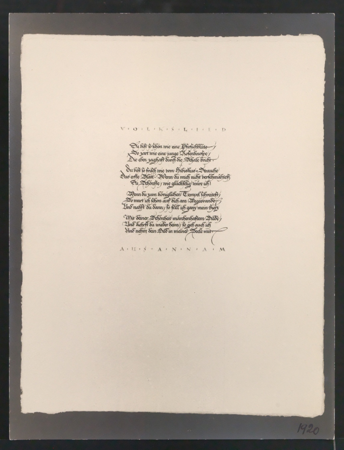 Konvolut Fotoabzüge von Buchseiten mit Kalligraphien von Jan Tschichold — Blatt 33