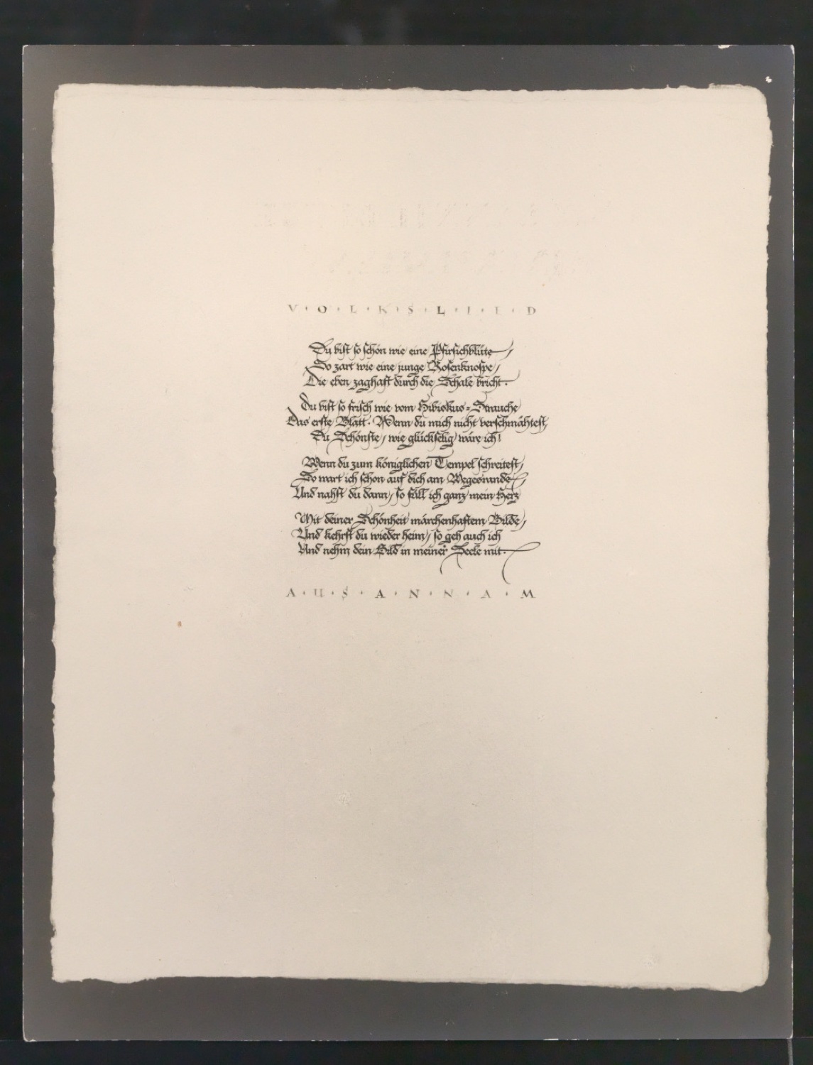 Konvolut Fotoabzüge von Buchseiten mit Kalligraphien von Jan Tschichold — Blatt 35