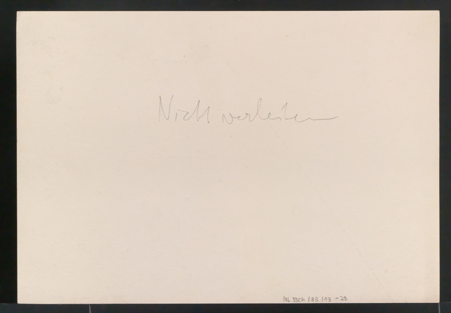 Konvolut Fotoabzüge von Buchseiten mit Kalligraphien von Jan Tschichold — Blatt 52