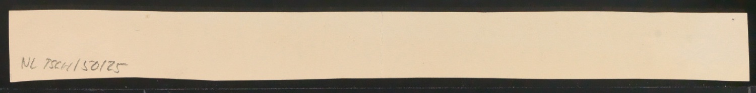 Konvolut Kalligrafische Übungen, Schriftübungen — Blatt 22