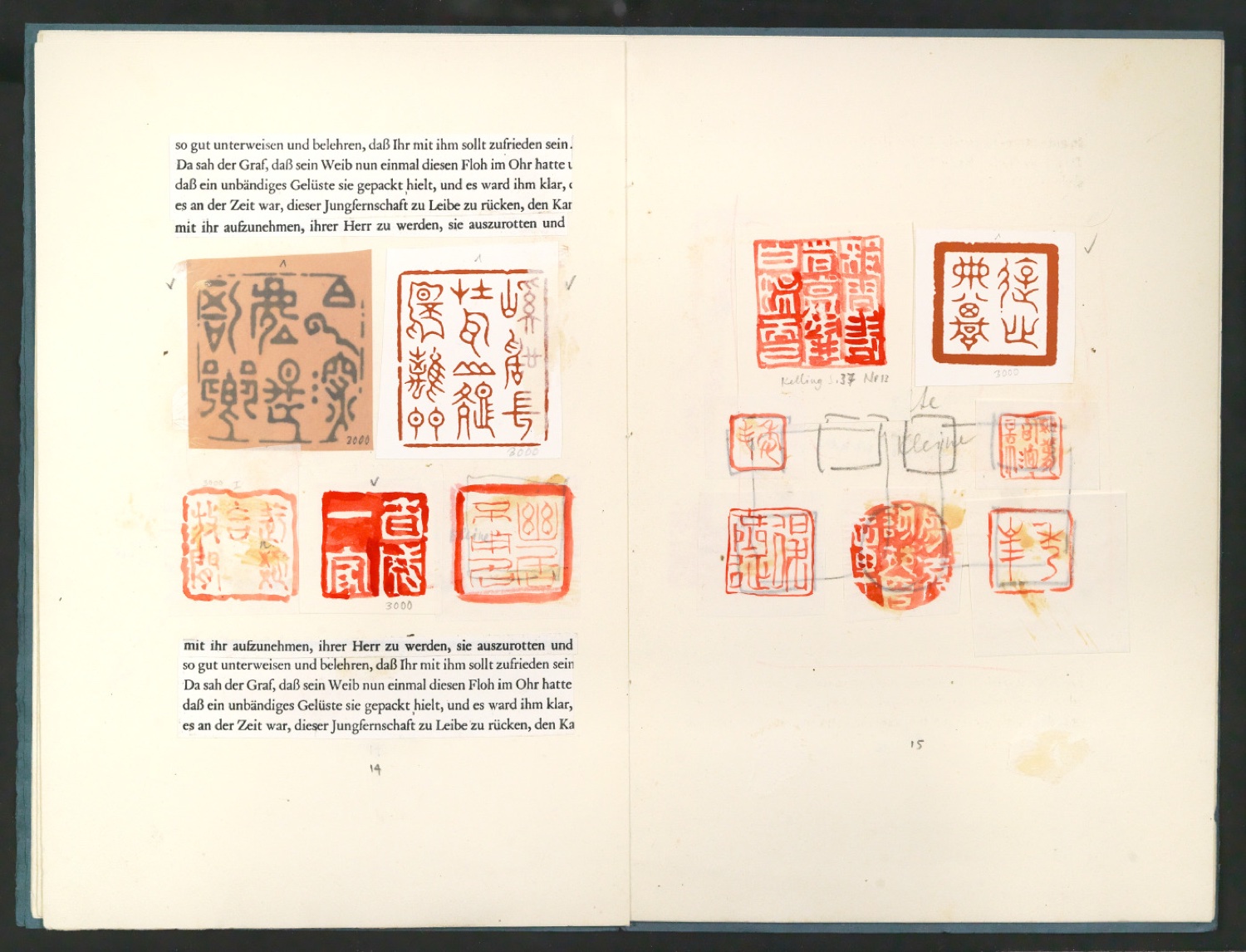 Der chinesische Stempel [Manuskript] — Blatt 9