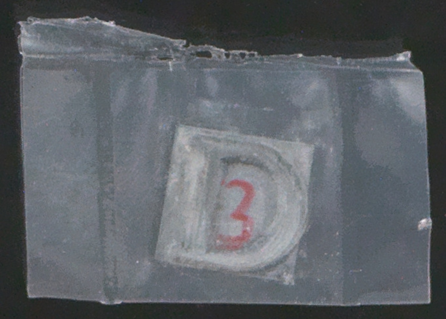 Druckklischees für die Buchstaben-Illustrationen von Das Alphabet des Damianus Moyllus — Blatt 5